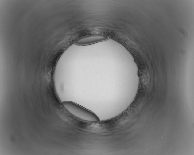 X0000112970611200909241328