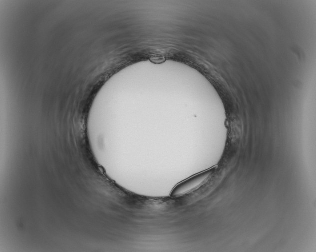 X0000112970613200909241328