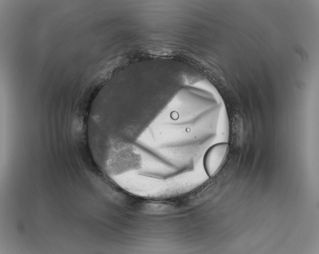 X0000112970614200909241328