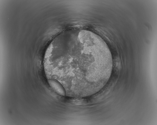 X0000112970615200909241328