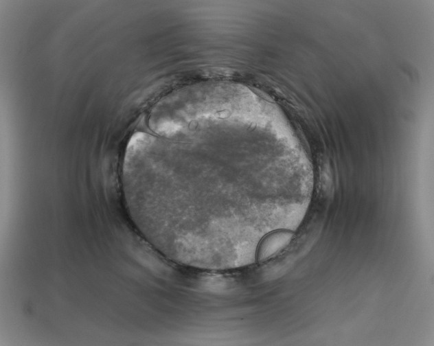 X0000112970616200909241328