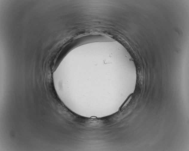 X0000112970617200909241328