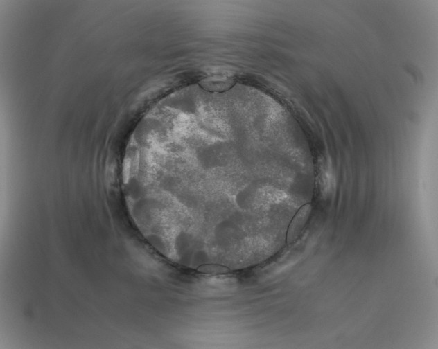 X0000112970619200909241328