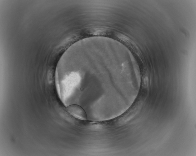 X0000112970620200909241328