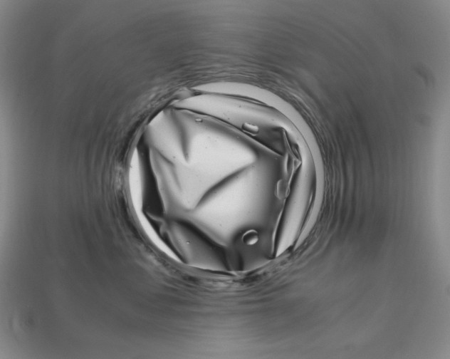 X0000112970621200909241328