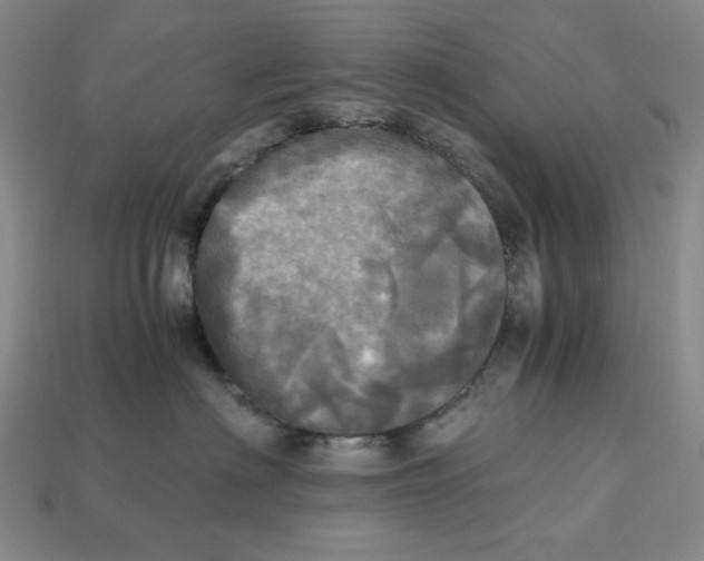 X0000112970622200909241328