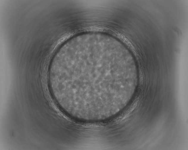 X0000112970625200909241327