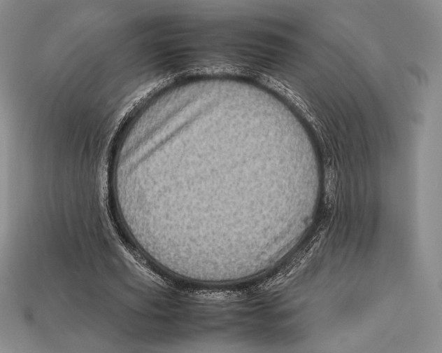 X0000112970629200909241327