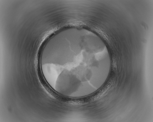 X0000112970630200909241327