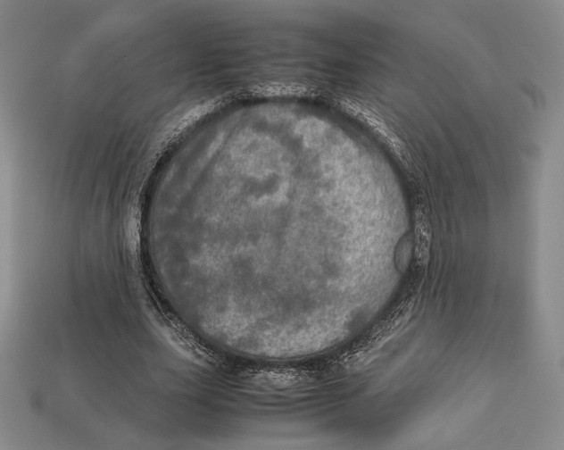 X0000112970631200909241327