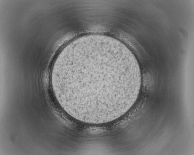 X0000112970632200909241327