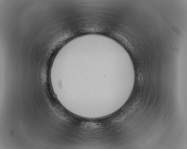 X0000112970635200909241327