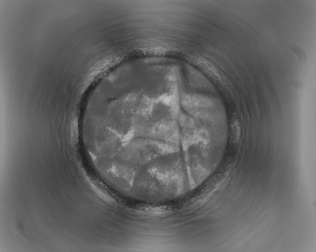 X0000112970638200909241327