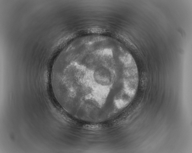 X0000112970639200909241327