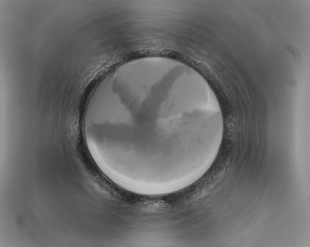X0000112970642200909241327