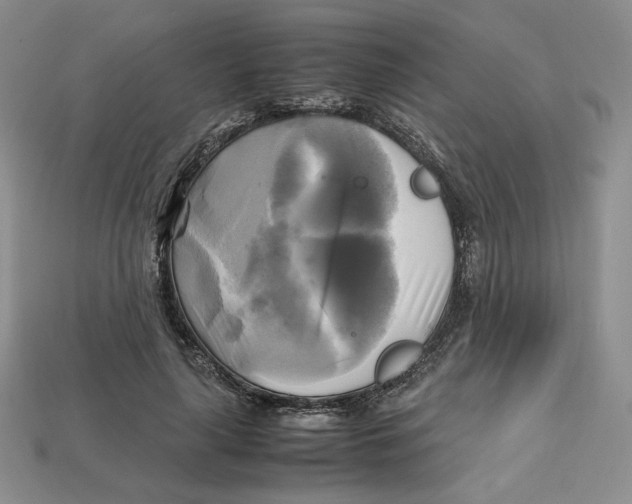 X0000112970643200909241327