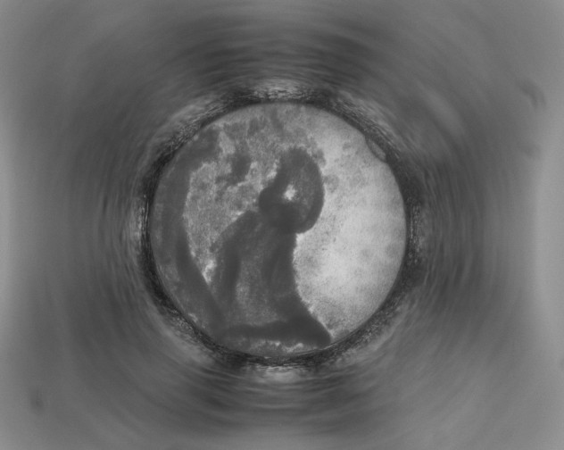 X0000112970645200909241327