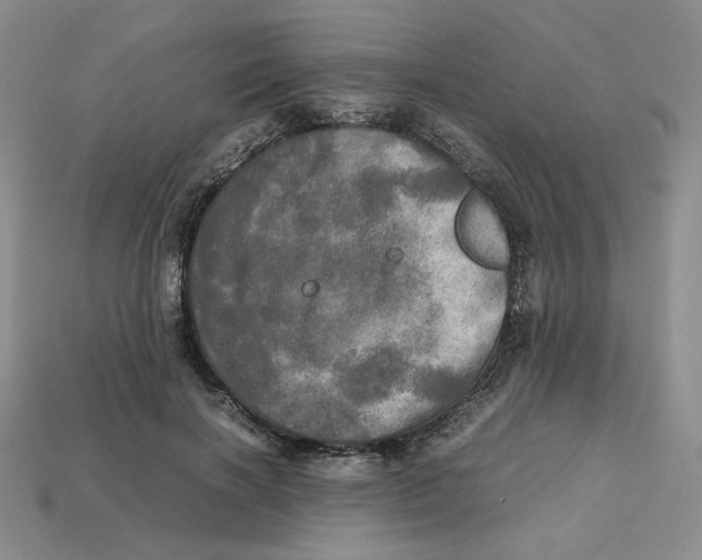 X0000112970646200909241327