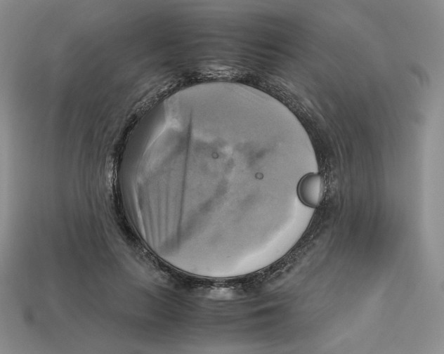 X0000112970647200909241327