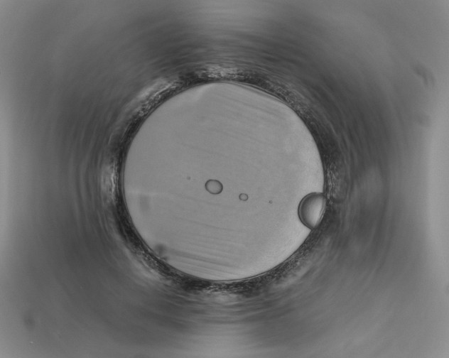 X0000112970648200909241327