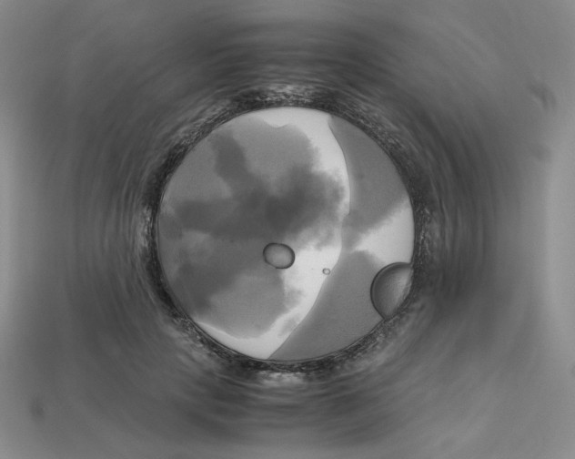 X0000112970649200909241327