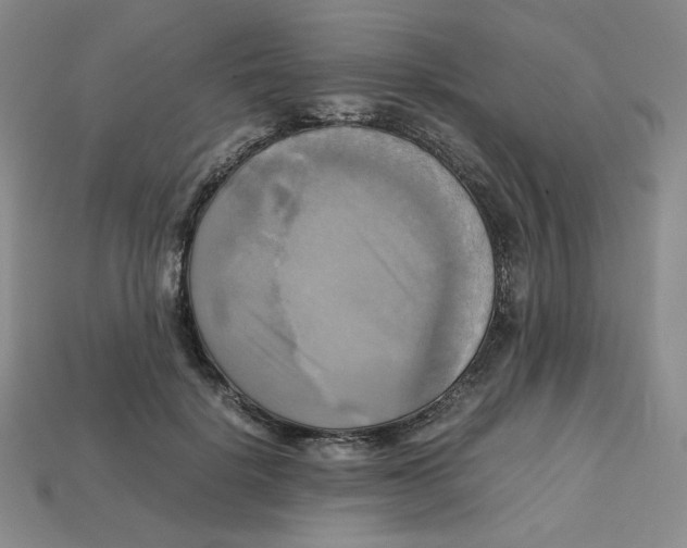 X0000112970652200909241327