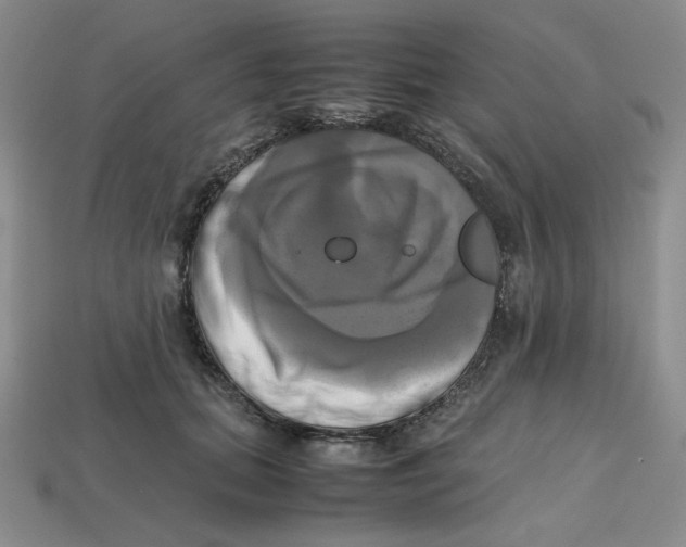 X0000112970655200909241327
