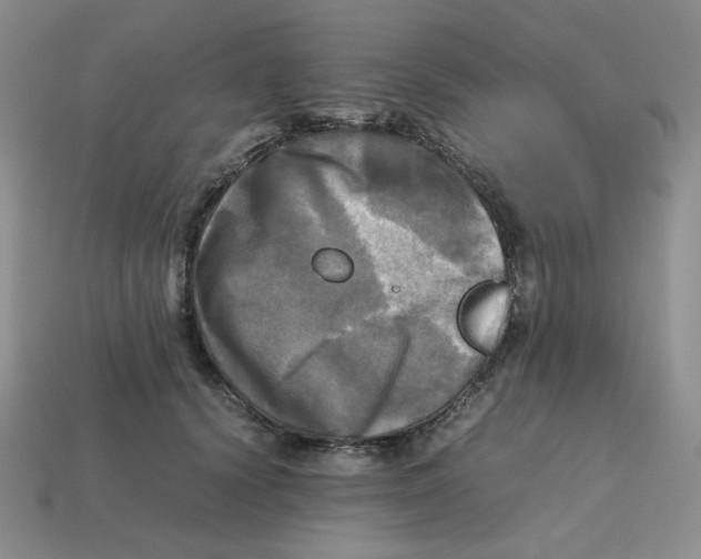 X0000112970656200909241327
