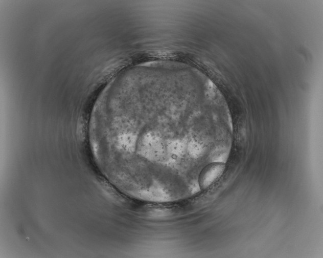 X0000112970658200909241327