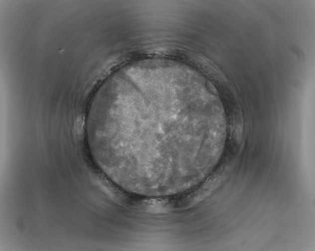 X0000112970660200909241327