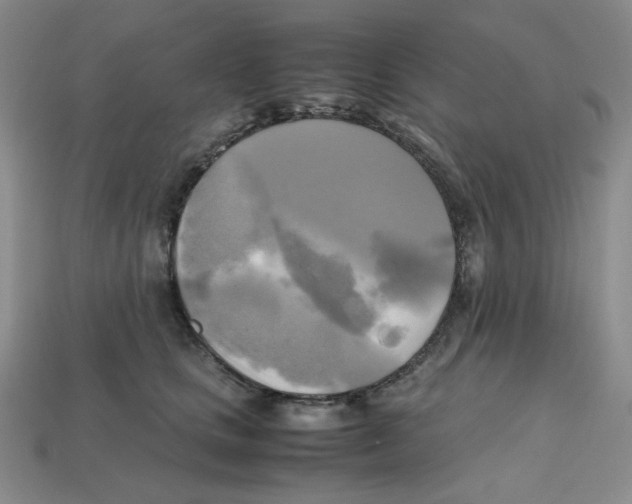 X0000112970661200909241327