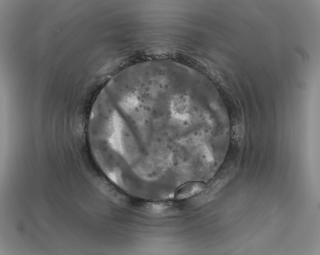 X0000112970662200909241327