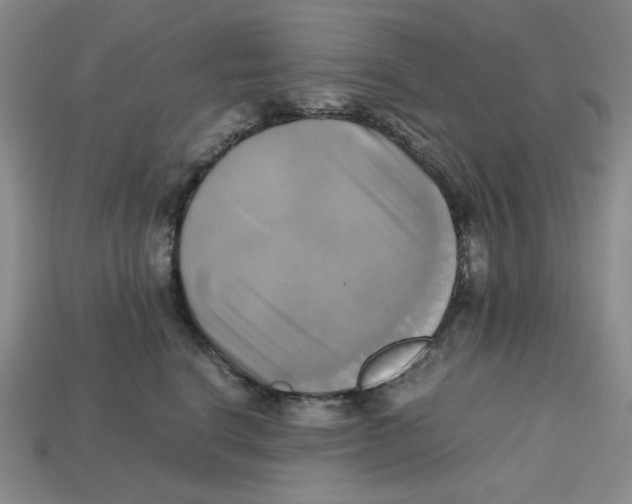 X0000112970664200909241328