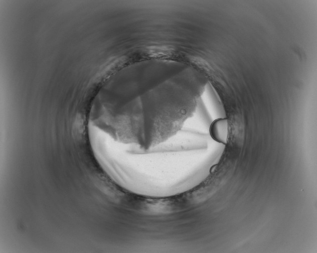 X0000112970667200909241328