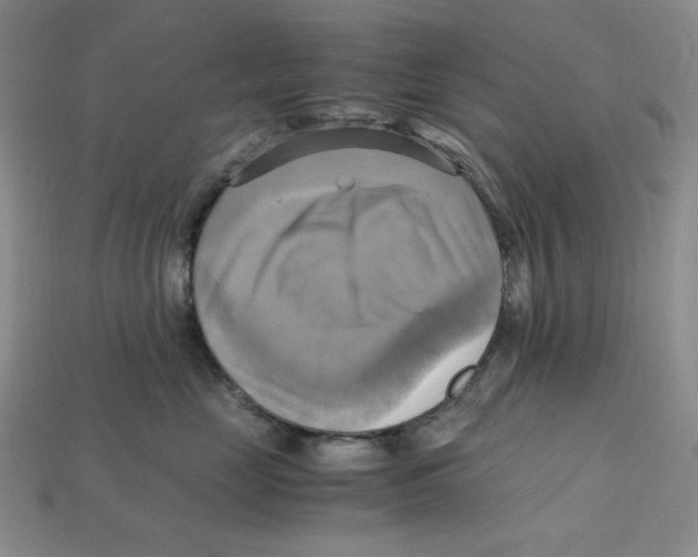 X0000112970669200909241328