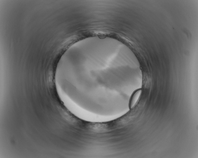 X0000112970670200909241328
