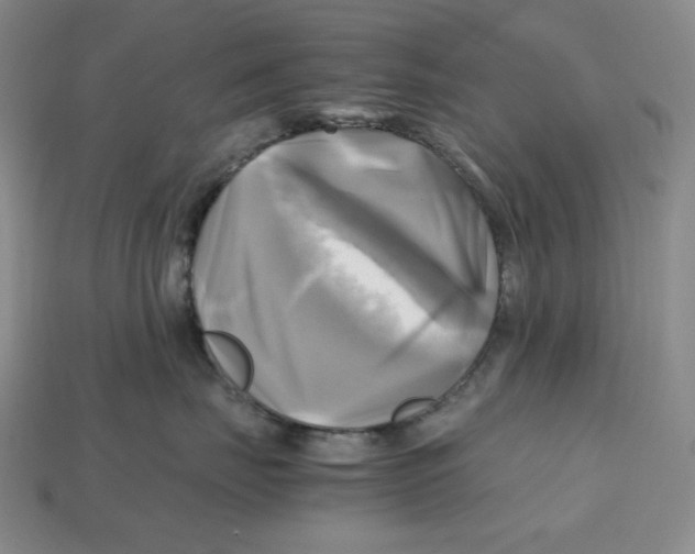 X0000112970671200909241328