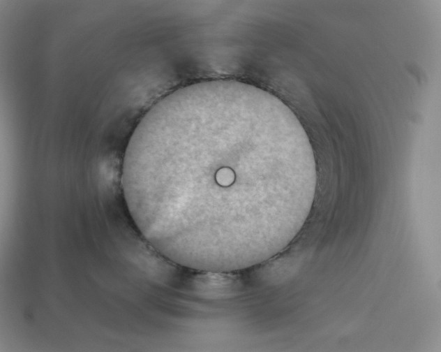 X0000112970672200909241328