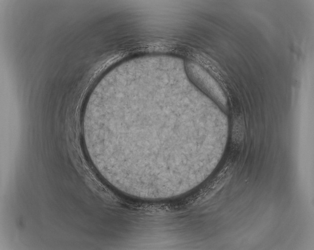 X0000112970673200909241327
