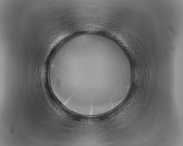 X0000112970679200909241327