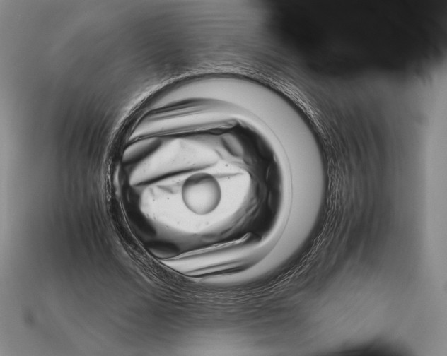 X0000112970680200909241327