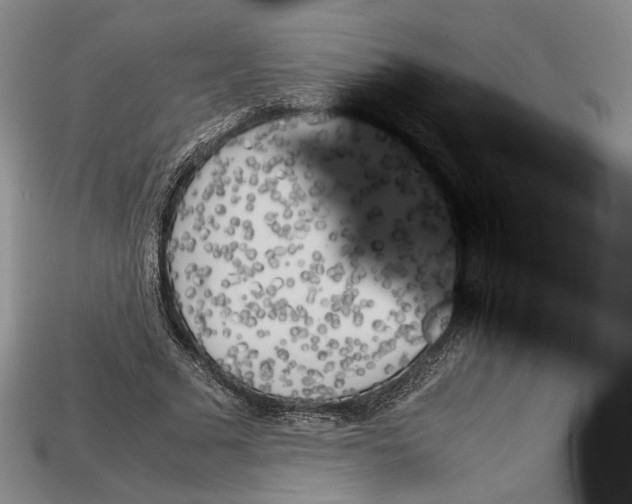 X0000112970681200909241327