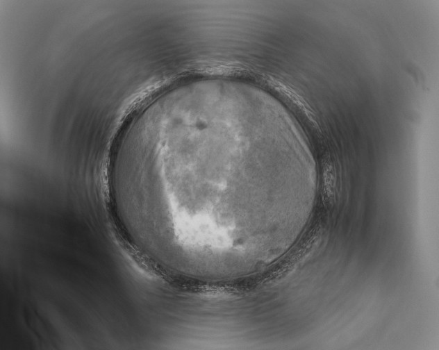 X0000112970682200909241327