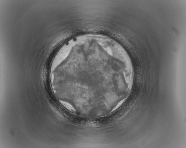 X0000112970683200909241327