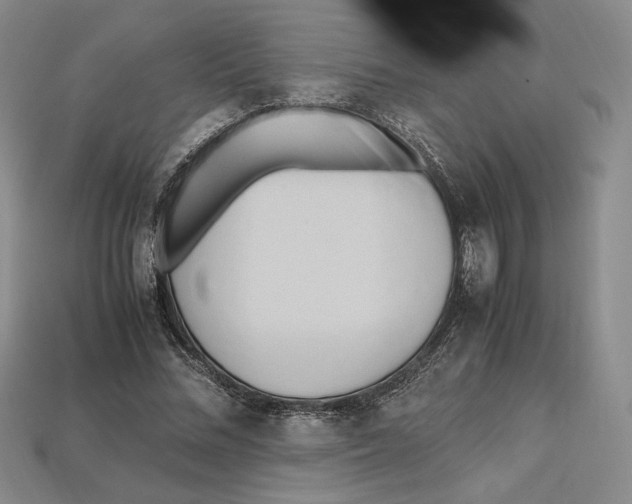 X0000112970684200909241327
