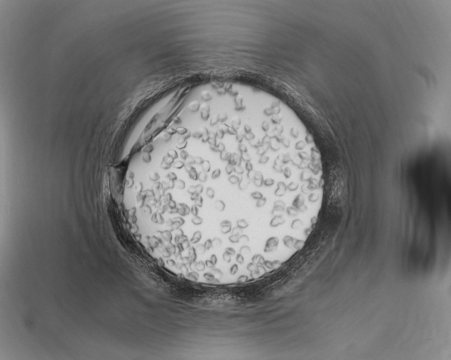 X0000112970685200909241327
