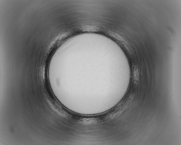 X0000112970686200909241327