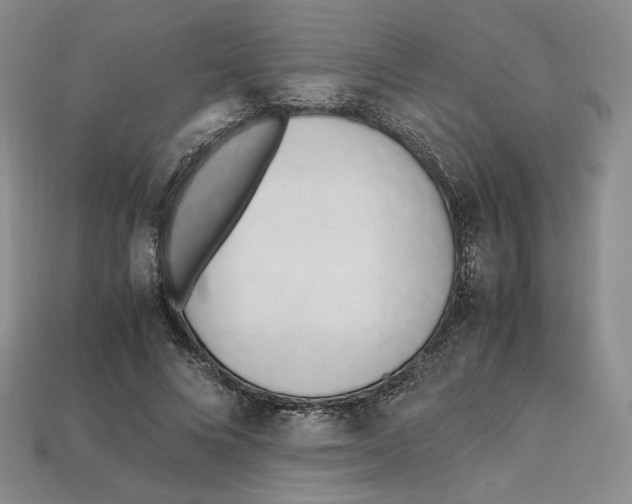 X0000112970688200909241327