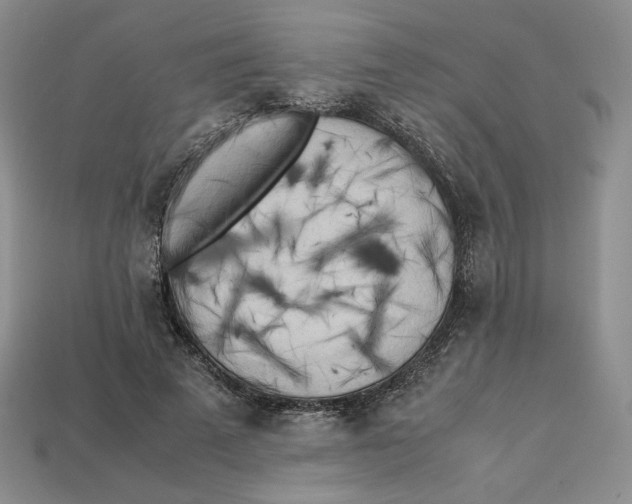 X0000112970689200909241327
