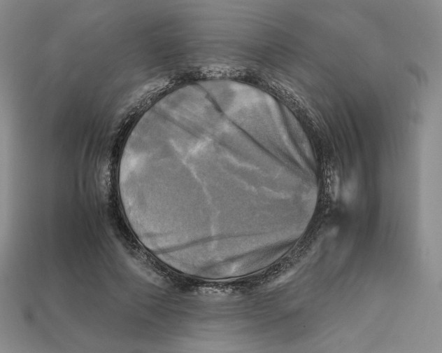 X0000112970690200909241327